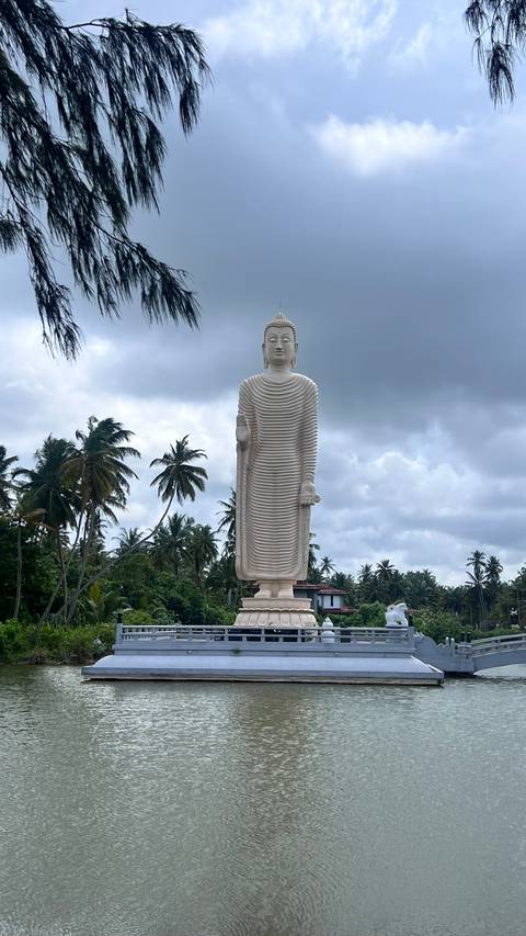 Statue of standing Buddha with palm trees in the background.