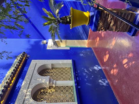 Vibrant blue wall with intricate window and plant.