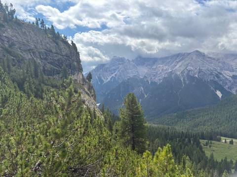       Mountainous landscape with dense forest under overcast sky.
  