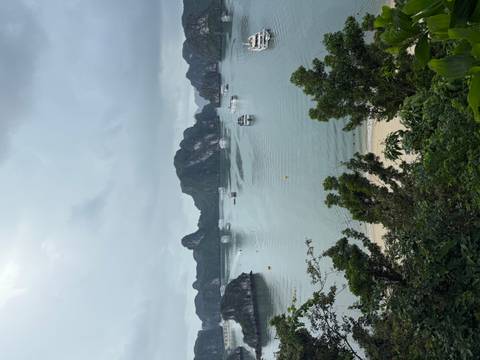       Halong Bay view with boats and limestone islands.
  