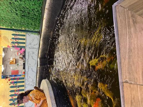       Indoor pond with koi fish.
  