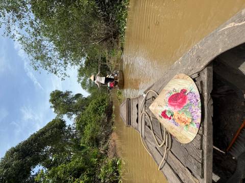       Traditional boat on a river with greenery.
  
