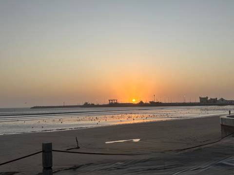      Sunset over the beach with seabirds in the foreground.
  