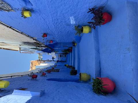       Narrow alley with blue painted walls and potted plants.
  