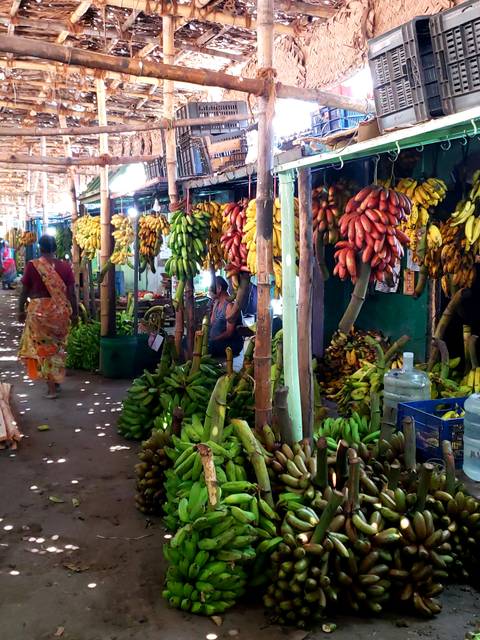A market stall with various colorful bananas hanging.