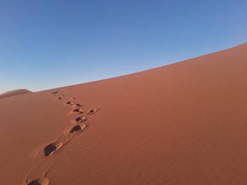 Desert dunes with footprints under a clear sky.