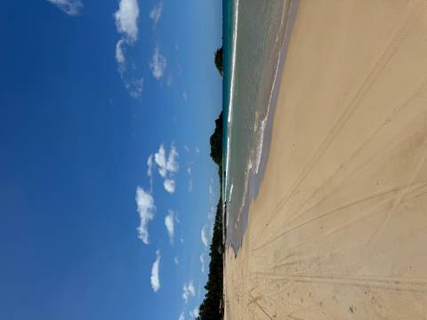 Sandy beach with clear blue sky.