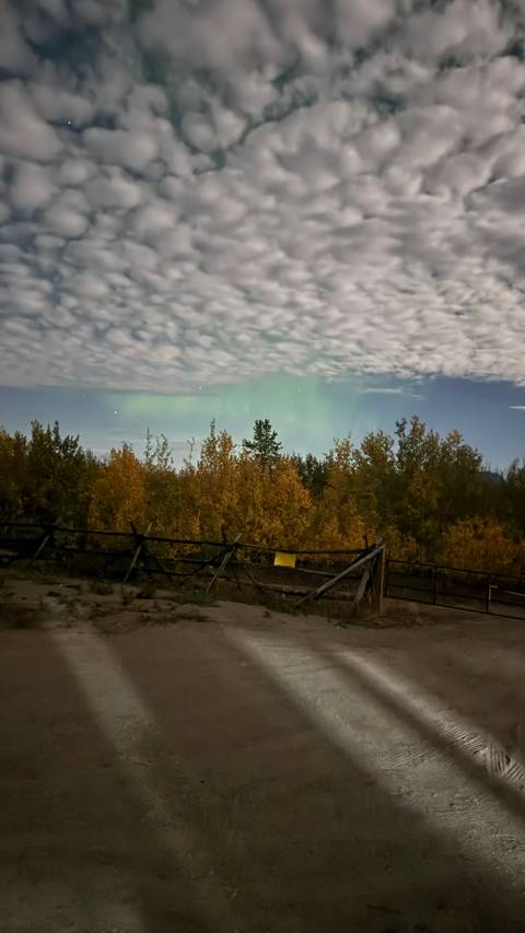 Northern lights over autumn trees and a wooden fence.