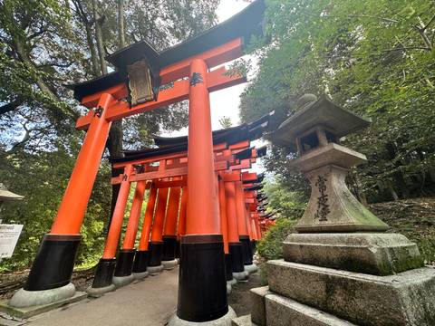 Row of iconic red torii gates leading through a forest.