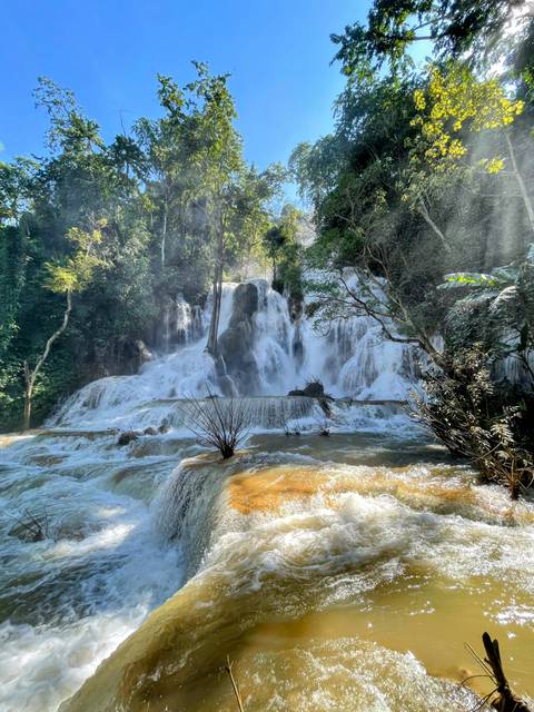       Waterfall surrounded by lush green vegetation.
  