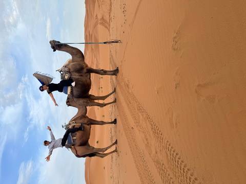 Tourists riding camels in the desert under clear skies.