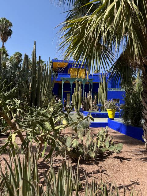 A vibrant blue house surrounded by cactus plants and a courtyard.