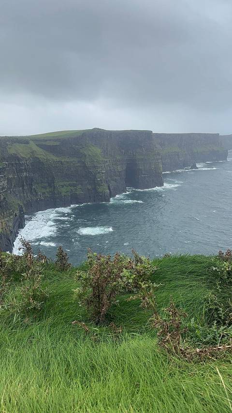       foto de reseña de cliente de Explorador irlandés 
  