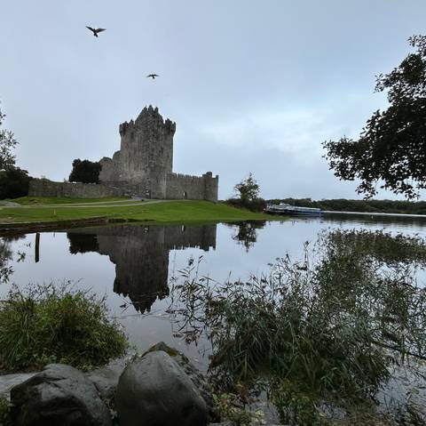       Historic castle reflected in a calm lake.
  