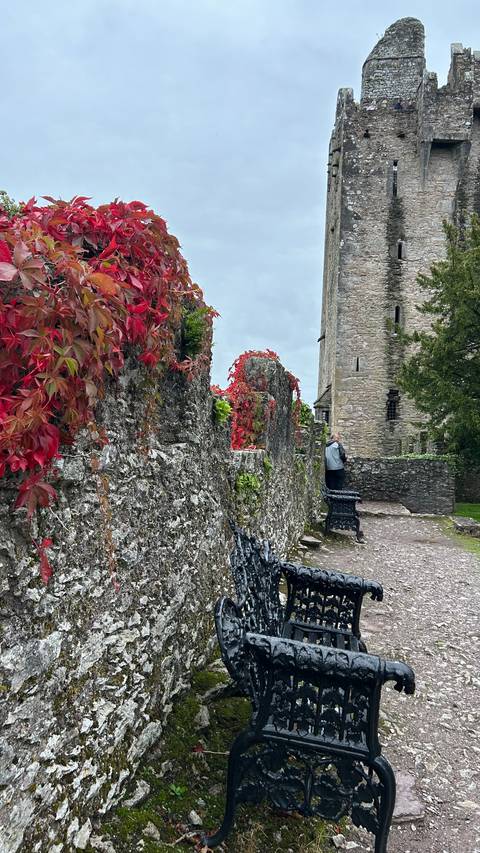       Historic stone wall with red foliage.
  