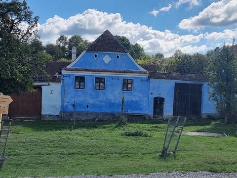       Traditional blue house in a rural setting.
  