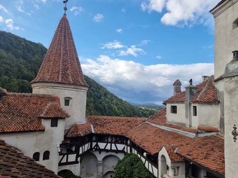       Rooftops and tower of a castle with lush surroundings.
  