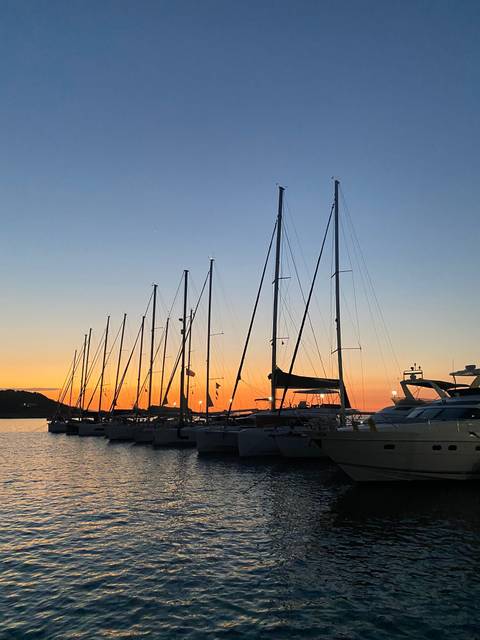 Row of sailboats in a marina during sunset.