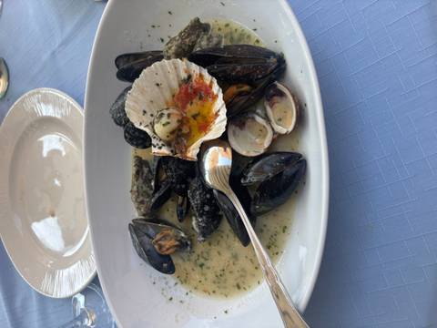Plate of seafood with mussels and a scallop in a savory sauce.