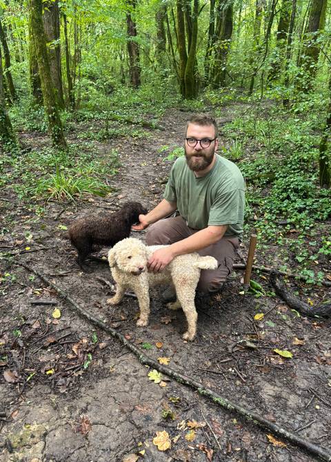 Man with dogs on a forest path.