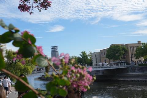 Urban scene with a river and flowers in the foreground.