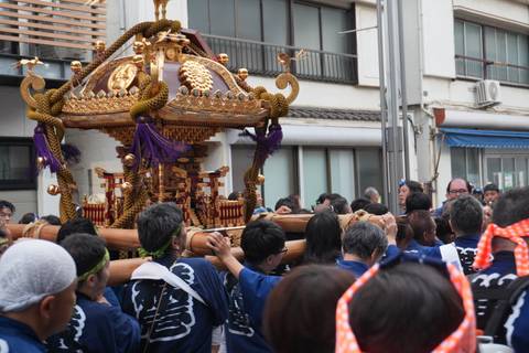 Japanese festival with a traditional wooden mikoshi being carried.