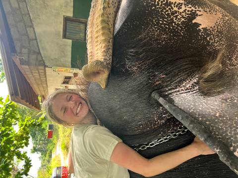 Person smiling and hugging an elephant.