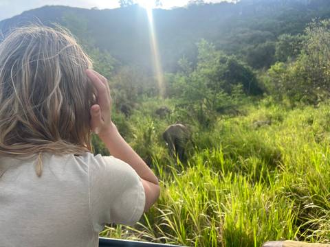       A person watching elephants in a grassy area.
  