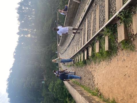 Group of people walking on railway tracks surrounded by greenery.