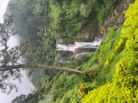 Beautiful waterfall surrounded by lush greenery.