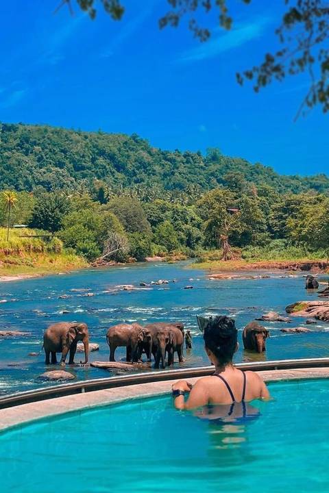       Photo d'avis client sur Explorez le Sri Lanka en solitaire 
  