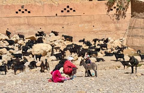 People and goats near a wall in a rural area.