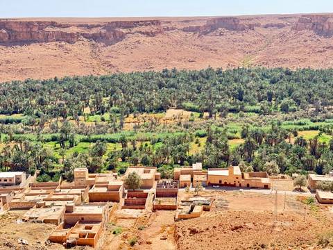 Aerial view of a lush oasis with surrounding desert.