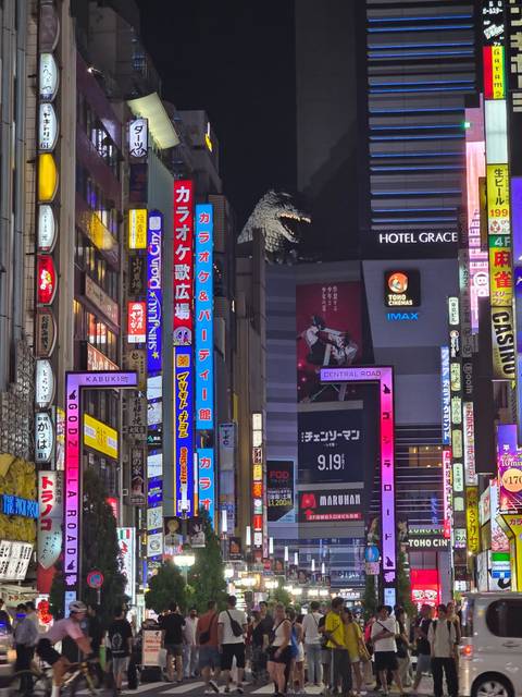 Night shot of colorful city signs and billboards.