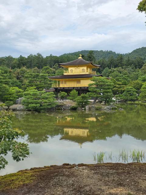 Golden temple reflected in a pond with lush surroundings.