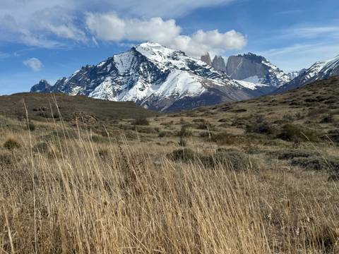 Rolling plains with tall grass in the foreground and snow-capped mountains in the distance.