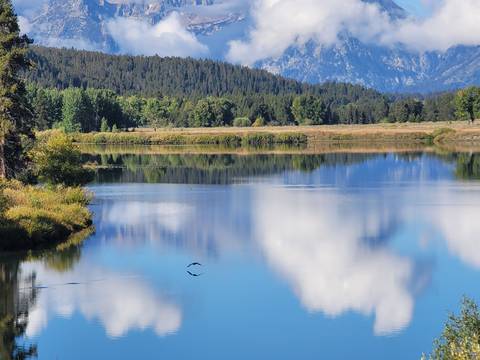       A serene lake reflecting trees and distant mountains.
  