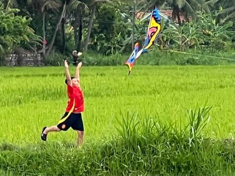 A child flying a colorful kite in a green field with trees in the background.