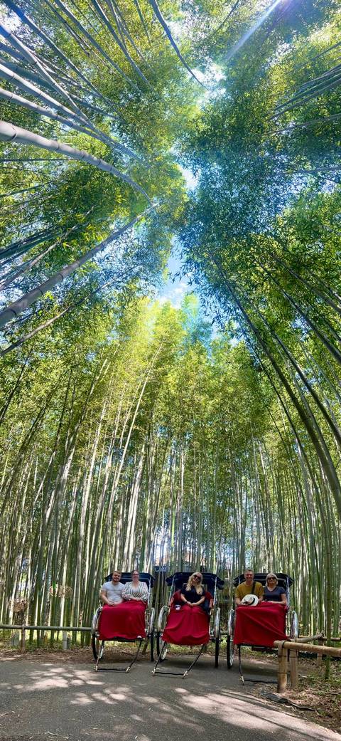 Japan  Plus 11-Day Culture Tour: Golden Route & Beyond customer review photo 