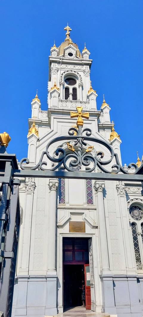 Intricately designed metal gate with a building behind.
