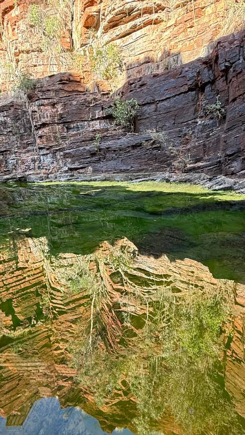 Rocky cliff reflecting in a green water body.