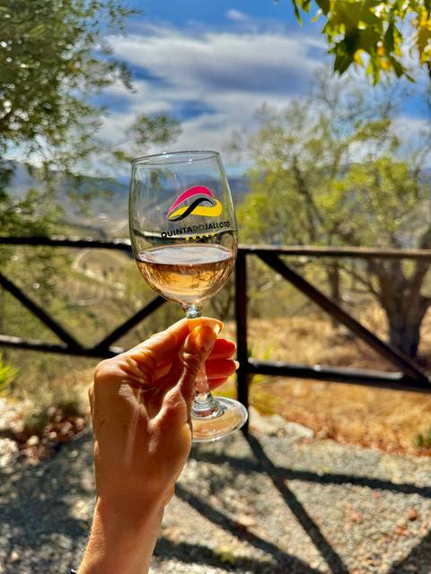 A hand holding a glass of white wine with a scenic background.