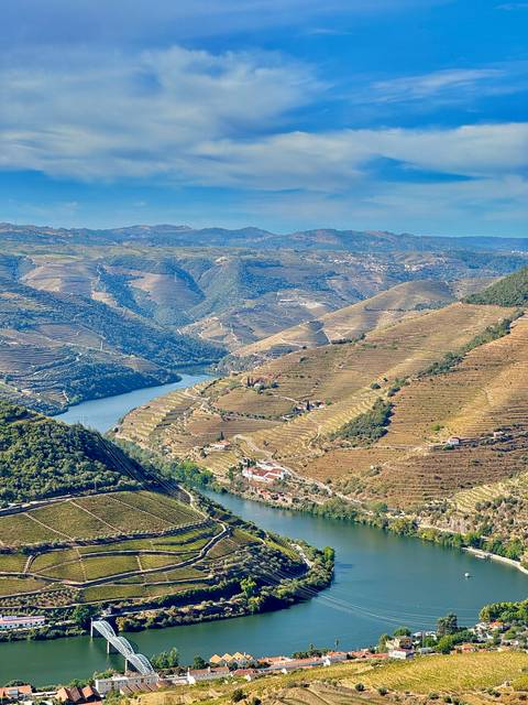 Aerial view of a river winding through terraced vineyards.