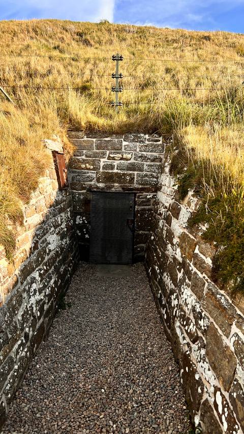 Stone passageway leading to a wooden door, surrounded by grassy walls.