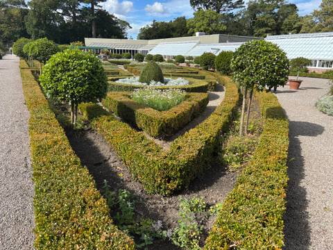 A neatly trimmed garden with a maze of hedges.