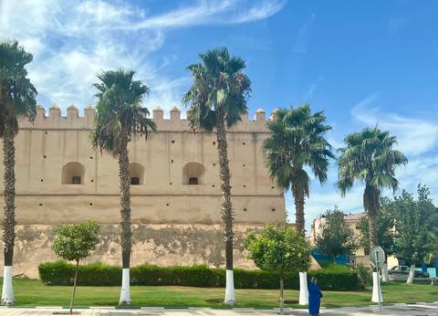       A fortress with palm trees in front on a sunny day.
  