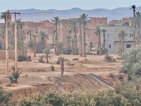       A desert village with palm trees under a cloudy sky.
  