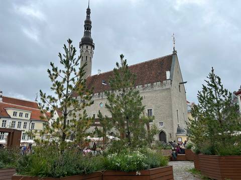 Historic building with a tower and trees in a square.