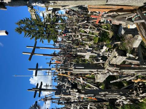       A site with numerous wooden crosses.
  