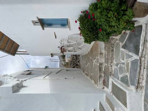 White alleyway with a bicycle and flowers.